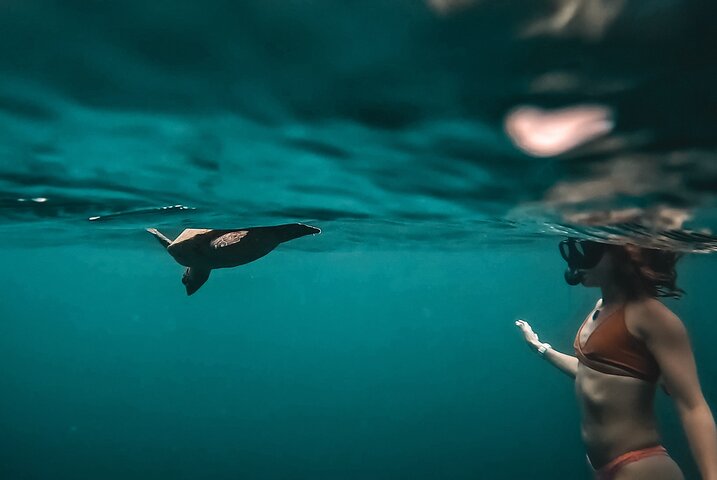 Caño Island all inclusive Snorkeling Tour in small groups