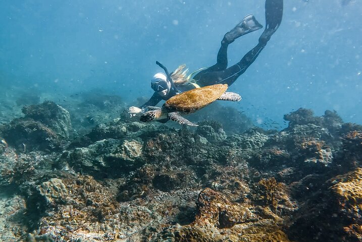 Caño Island all inclusive Snorkeling Tour in small groups