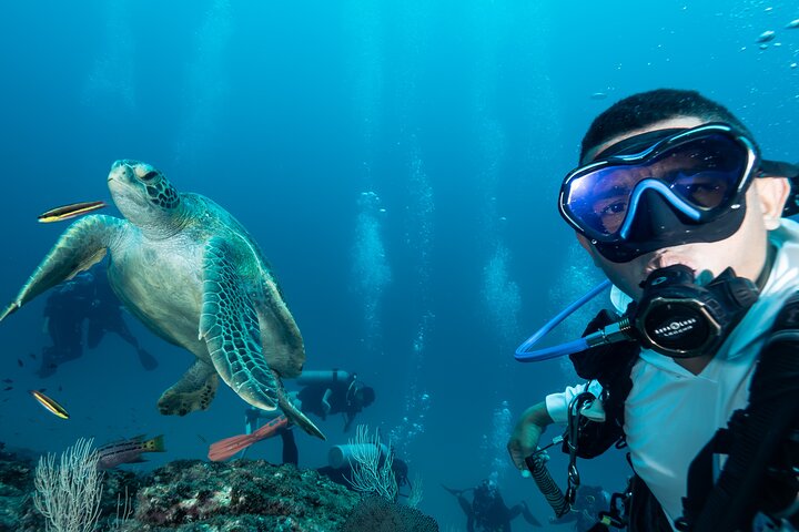 Diving tour in Isla del Caño for certified divers