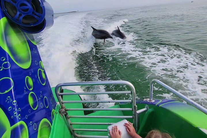 Dolphin Cruise in Destin FL