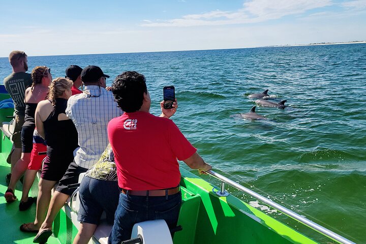 Dolphin Cruise in Destin FL