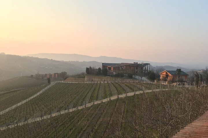Private Barolo Wine Tour with Winemaker from Turin