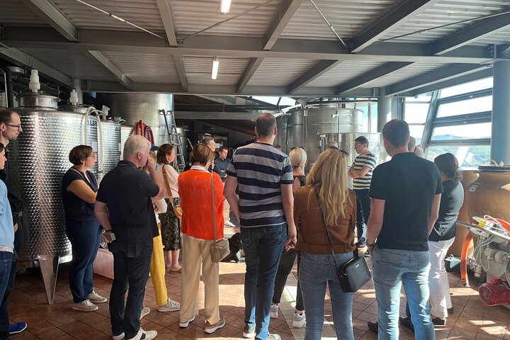 Private Barolo Wine Tour with Winemaker from Turin