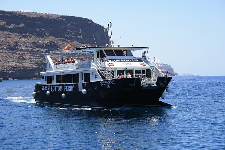 Half-Day Cruise Tour-Dolphin and Whale Watching