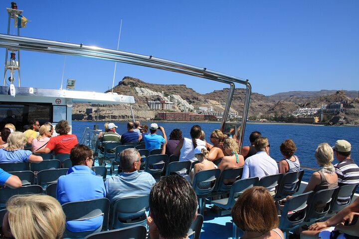 Half-Day Cruise Tour-Dolphin and Whale Watching