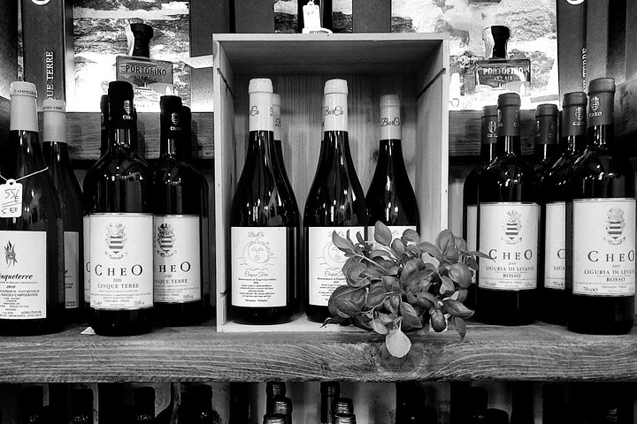 Pesto Class and Wine Tasting in Vernazza, Cinque Terre