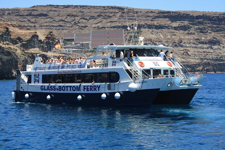 Half-Day Cruise Tour-Dolphin and Whale Watching