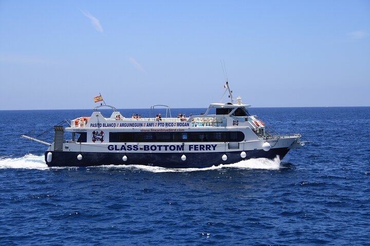 Half-Day Cruise Tour-Dolphin and Whale Watching