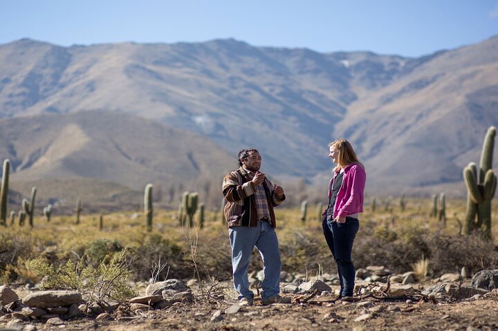 Discover Tafí del Valle and Quilmes Ruins in a Day Tour