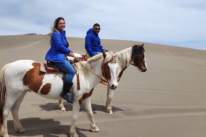 Penguin Watching-Navigation Horseback Riding & BBQ FromVALPARAISO