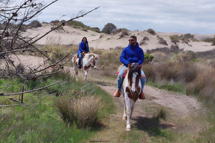 Penguin Watching-Navigation Horseback Riding & BBQ FromVALPARAISO