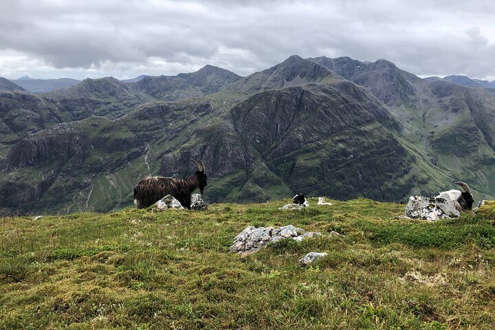 Private Guided Mountain Walking Experience in the Cairngorms