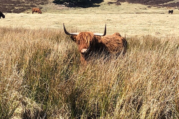 Private Guided Mountain Walking Experience in the Cairngorms