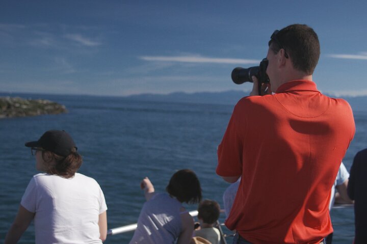 Seattle: Half-Day Wildlife and Whale Watching Cruise