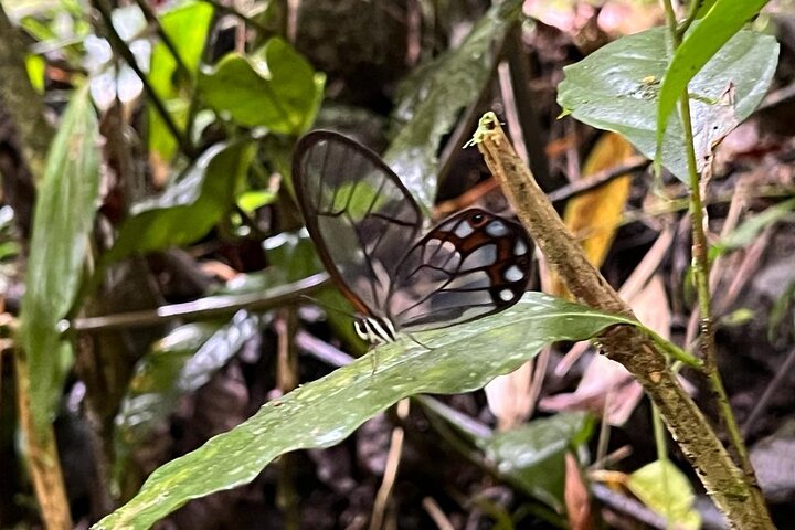 Ecotourism and Adventure to Cascada La Plata e Ibagué