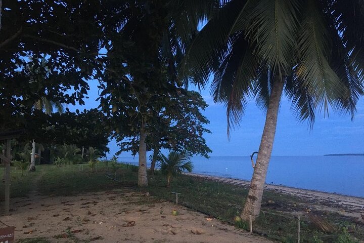 Mangrove Cruise with Fireflies Tour Including Dinner from Sandakan