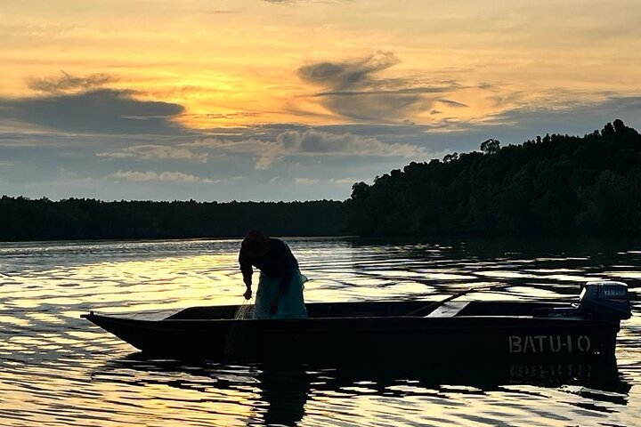 Mangrove Cruise with Fireflies Tour Including Dinner from Sandakan