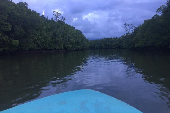 Mangrove Cruise with Fireflies Tour Including Dinner from Sandakan