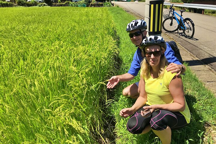Half Day Private Rural E-Bike Tour in Hida