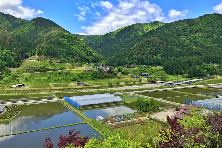 1-Day Private Rural E-Bike Tour in Hida
