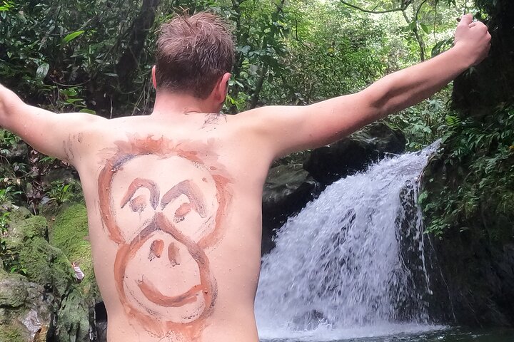 TOUR PACKAGE (jungle trekking, taxi, Room) 4 DAYS 3 NIGHTS in BUKIT LAWANG