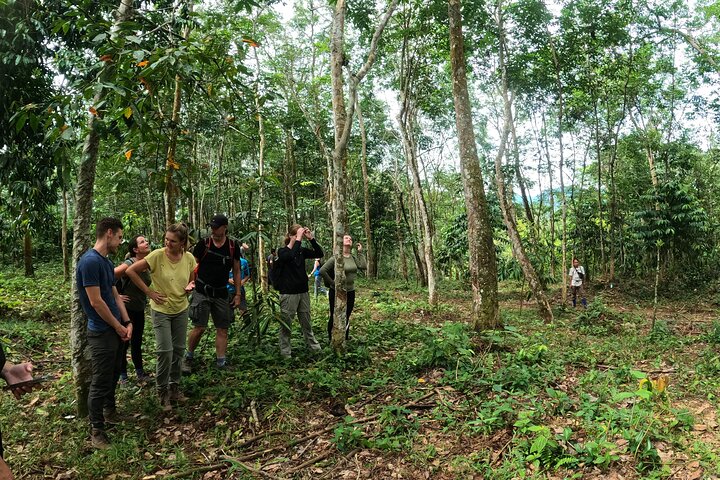TOUR PACKAGE (jungle trekking, taxi, Room) 4 DAYS 3 NIGHTS in BUKIT LAWANG
