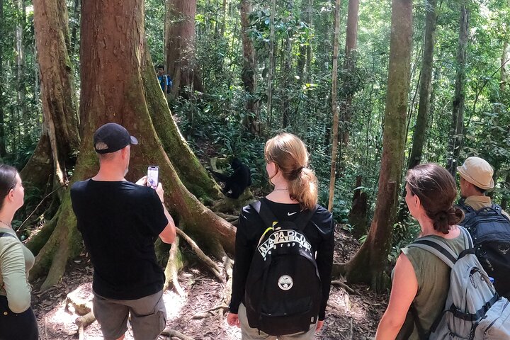 TOUR PACKAGE (jungle trekking, taxi, Room) 4 DAYS 3 NIGHTS in BUKIT LAWANG