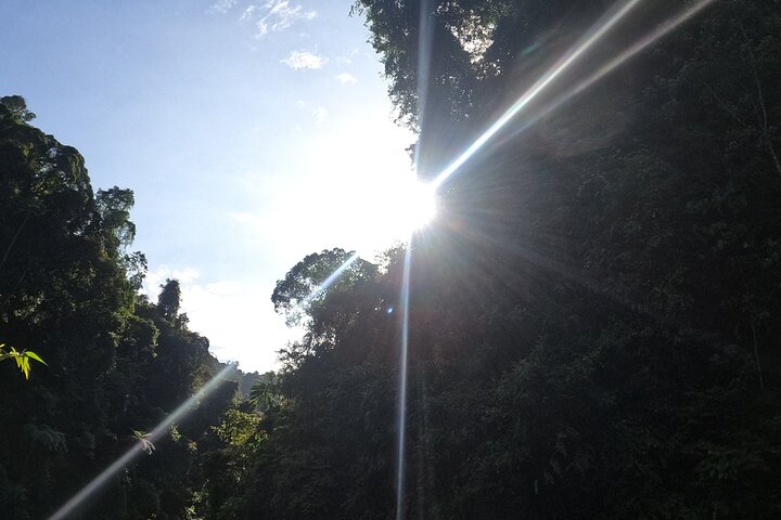 TOUR PACKAGE (jungle trekking, taxi, Room) 4 DAYS 3 NIGHTS in BUKIT LAWANG