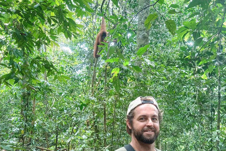 TOUR PACKAGE (jungle trekking, taxi, Room) 4 DAYS 3 NIGHTS in BUKIT LAWANG