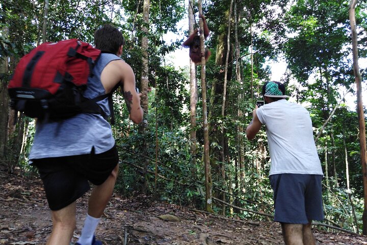 TOUR PACKAGE (jungle trekking, taxi, Room) 4 DAYS 3 NIGHTS in BUKIT LAWANG