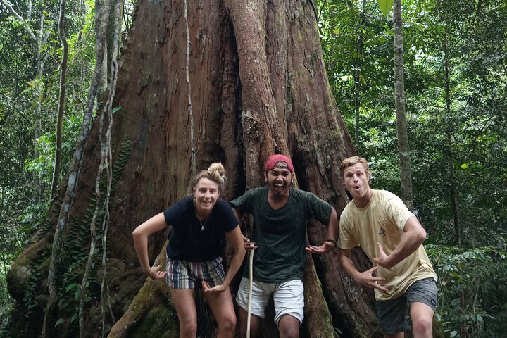 TOUR PACKAGE (jungle trekking, taxi, Room) 4 DAYS 3 NIGHTS in BUKIT LAWANG
