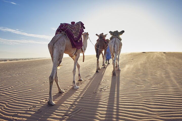 The Best of Nouakchott Tour by Car