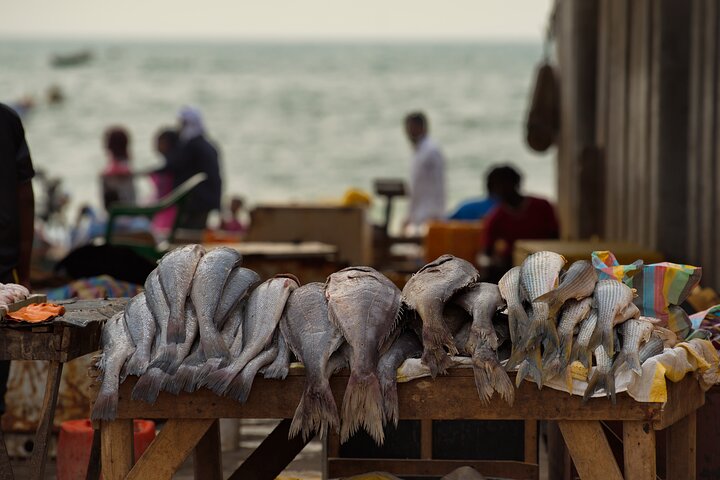 The Best of Nouakchott Tour by Car
