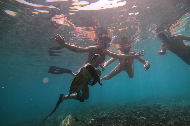 Snorkeling at Dimaniyat Islands and Dolphin Watching (Half-Day)