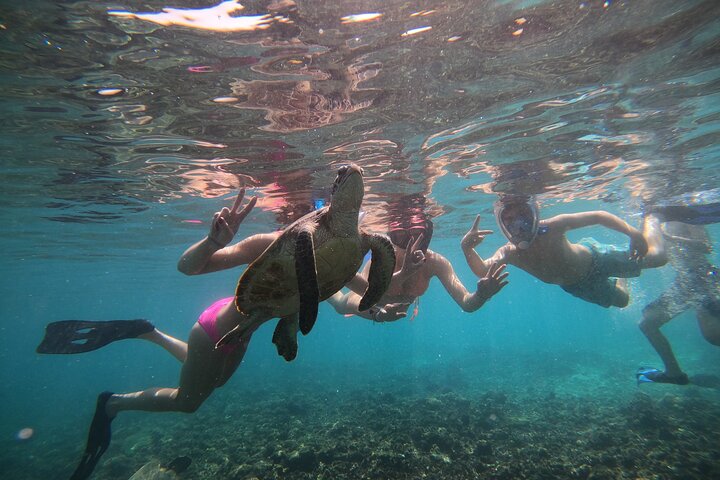 Snorkeling at Dimaniyat Islands and Dolphin Watching (Half-Day)
