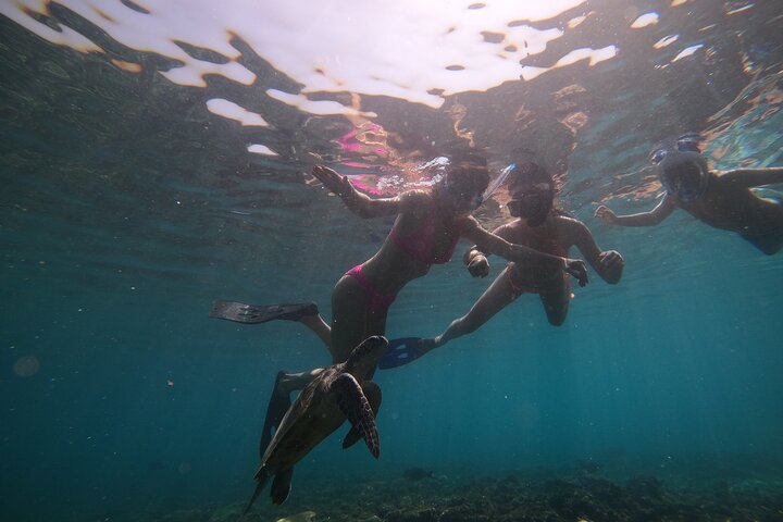 Snorkeling at Dimaniyat Islands and Dolphin Watching (Half-Day)