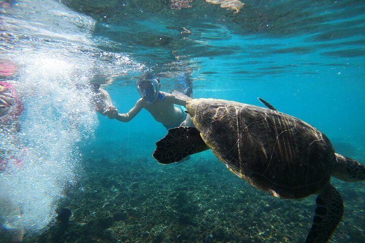 Snorkeling at Dimaniyat Islands and Dolphin Watching (Half-Day)