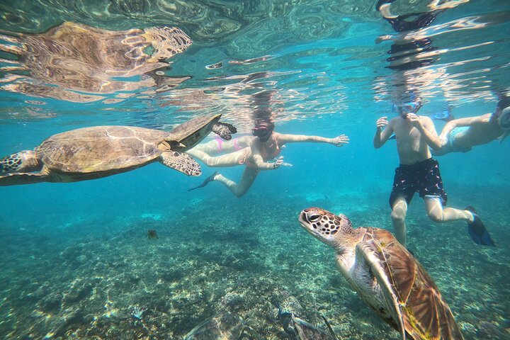 Snorkeling at Dimaniyat Islands and Dolphin Watching (Half-Day)