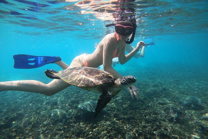 Snorkeling at Dimaniyat Islands and Dolphin Watching (Half-Day)