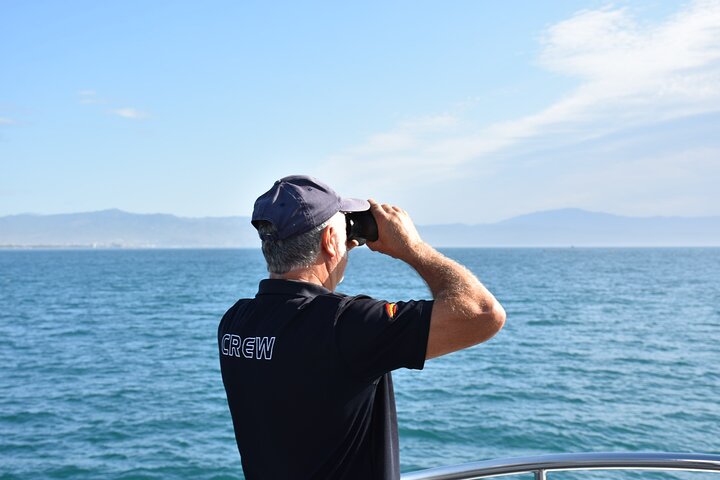 Dolphin Sightseeing Boat Tour from Benalmadena