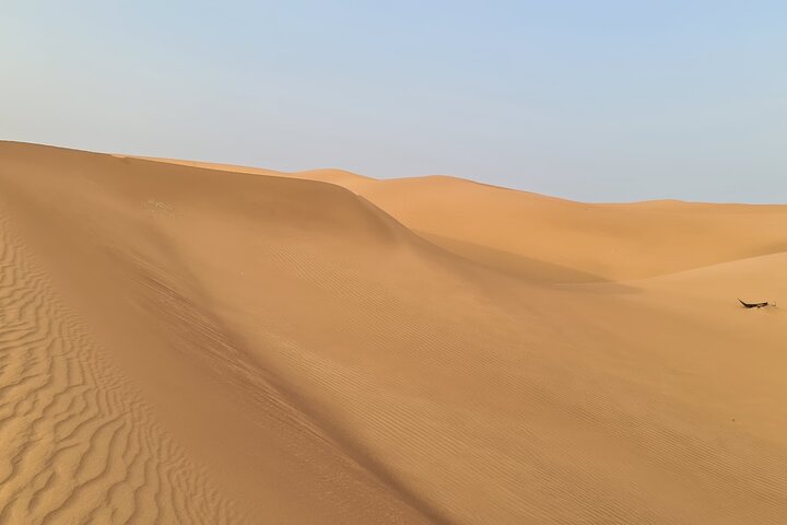 Dubai Desert Safari Dune Bashing, 60min ATV Quad, Camel Ride, BBQ