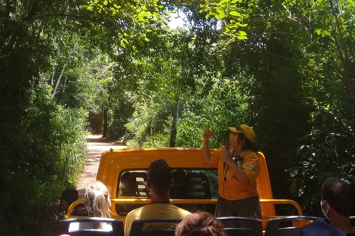 Iguazu Falls: Argentinian Side with Boat Ride, Jungle-truck and Train