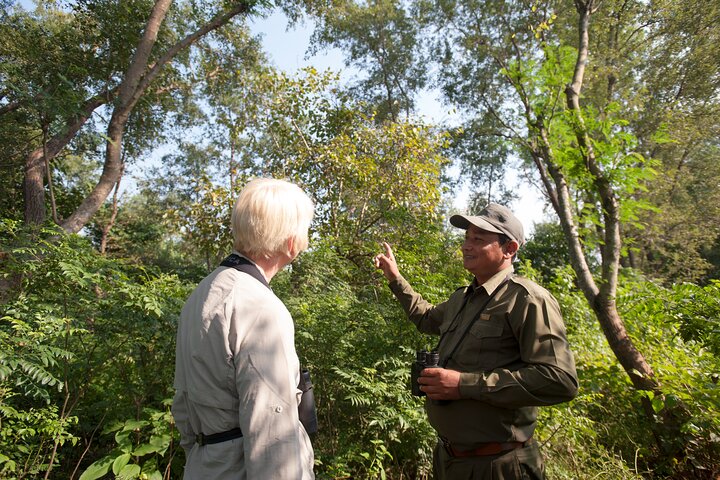 Bardia National Park package with Tiger Tops Karnali lodge