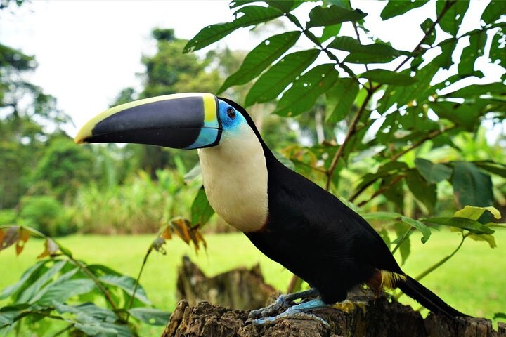 5-Day Waorani Yasuni Kayak Expedition