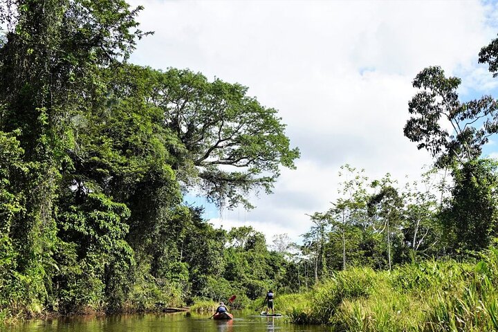 5-Day Waorani Yasuni Kayak Expedition