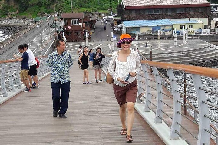 Private Day Tour in South and West in Jeju Island