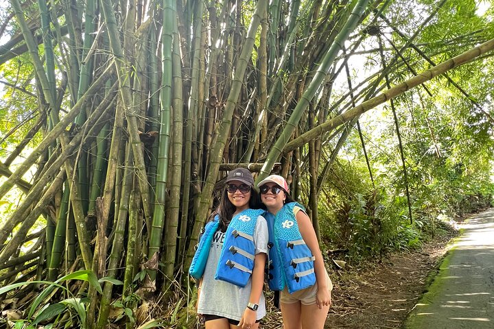 El Yunque Rainforest Waterslides, Waterfalls and Rope Swing