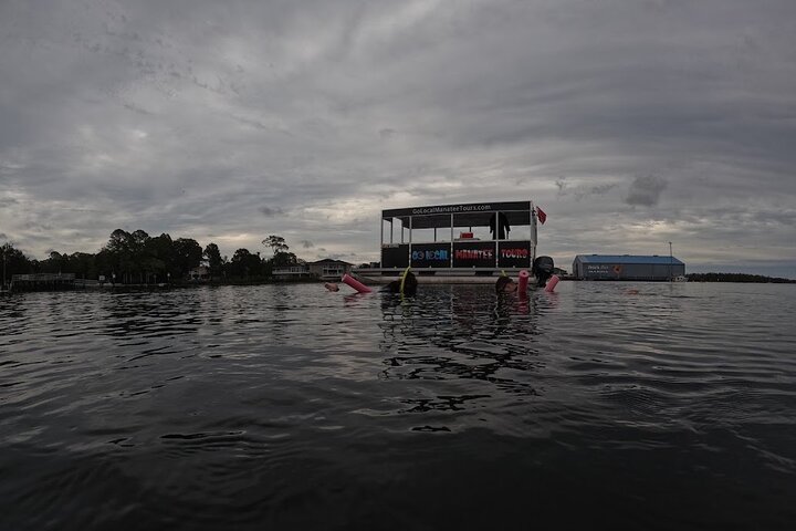 3 Hour Small Group All Inclusive Manatee Swim with free Photo pkg