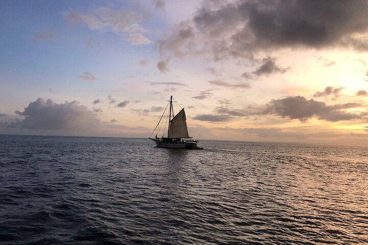 Private, Skippered Catamaran Day Trip in Grenada