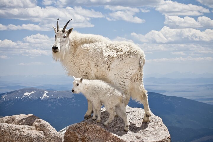 Rocky Mountain National Park Self-Guided Driving Audio Tour